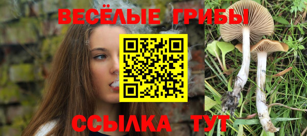 Псилоцибиновые грибы Magic Shrooms Лабытнанги